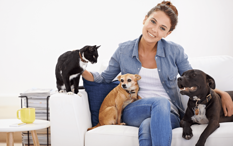 re_home-your-pets-homepage re_home-your-pets-homepage